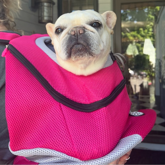 Dog carrier NWOT - Picture 5 of 9